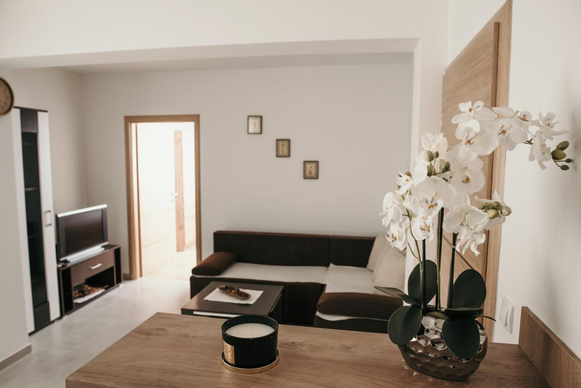 Apartman Krznaric Zupanja Esterno foto
